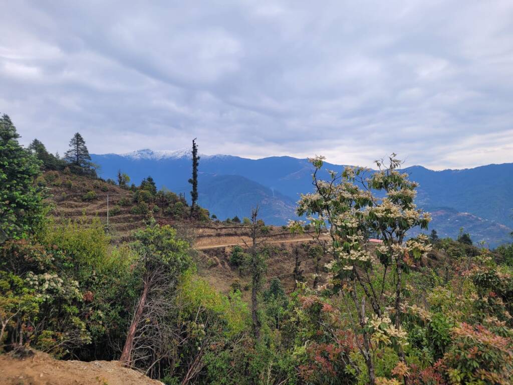Diario nepalese 2025 - Tredicesima tappa: Dal silenzio delle montagne al traffico di Kathmandu