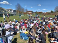 festa dello sport malnate