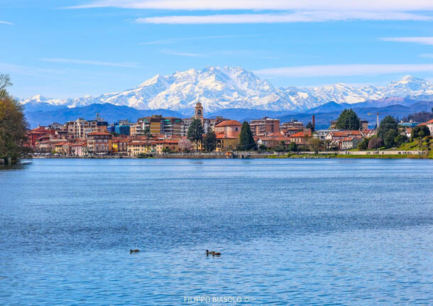 foto del giorno 1 aprile 2025 monte rosa sesto calende| di Filippo Biasolo