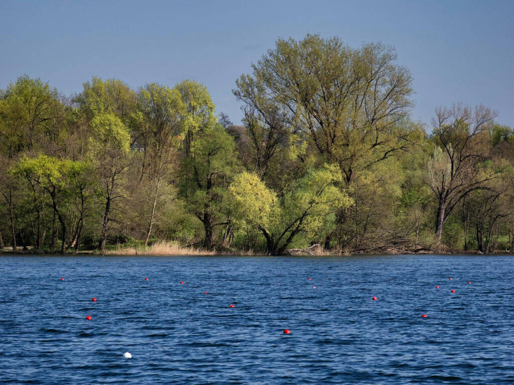 foto del giorno 9 aprile 2025 lago gavirate | foto di Roberto Crepaldi