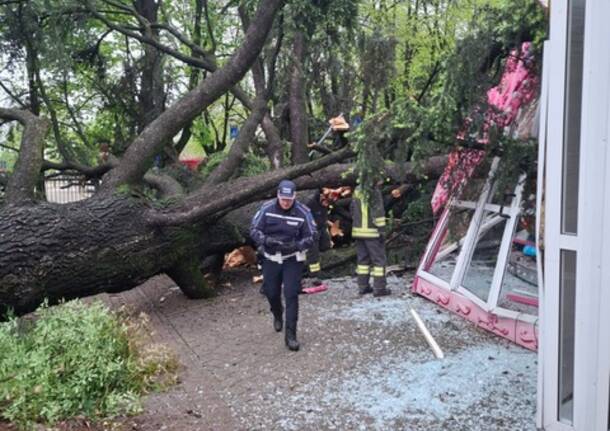 Giardino Pattani chiuso a Legnano per un albero caduto