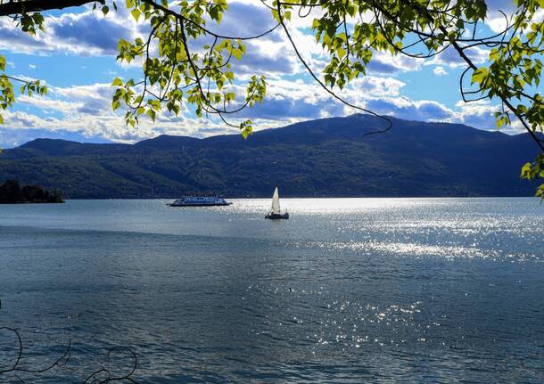 laveno - lago maggiore - vittorio bolis