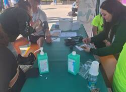 Liuc Run - Humanitas 