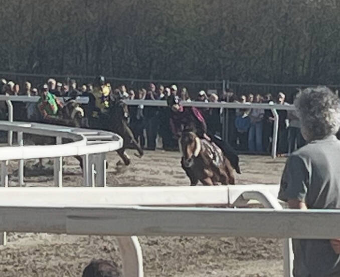 Palio di Legnano, corse addestramento 6 aprile 2025