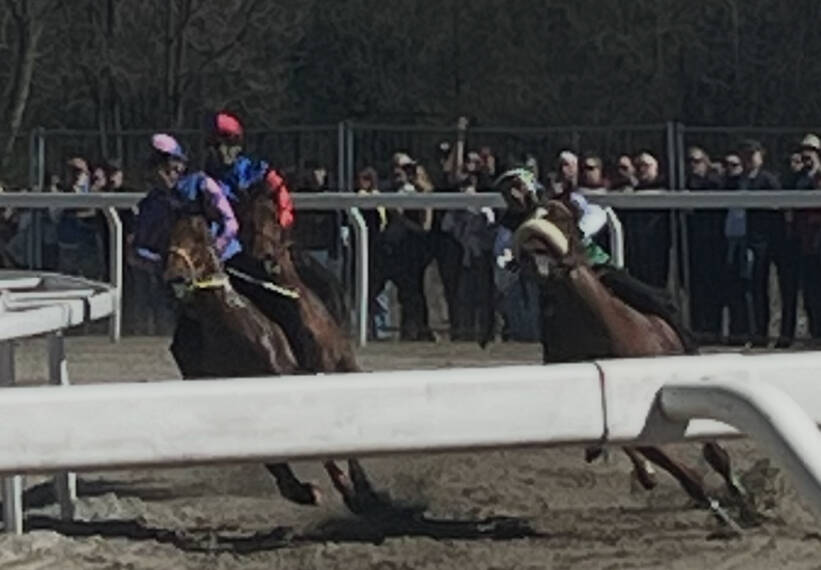 Palio di Legnano, corse addestramento 6 aprile 2025