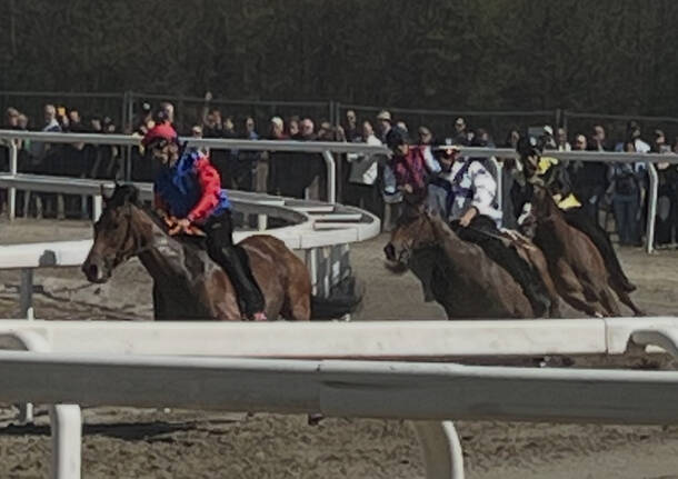 Palio di Legnano, corse addestramento 6 aprile 2025