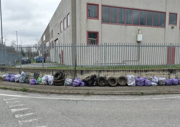 Due ore a raccogliere rifiuti e questo è il risultato a Fagnano Olona
