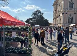 Una domenica di sole a Creanza