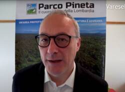 angelo orsenigo sintab parco pineta