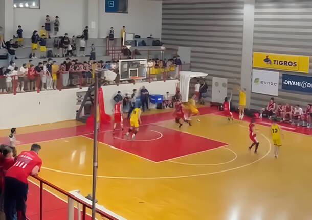 basket robur