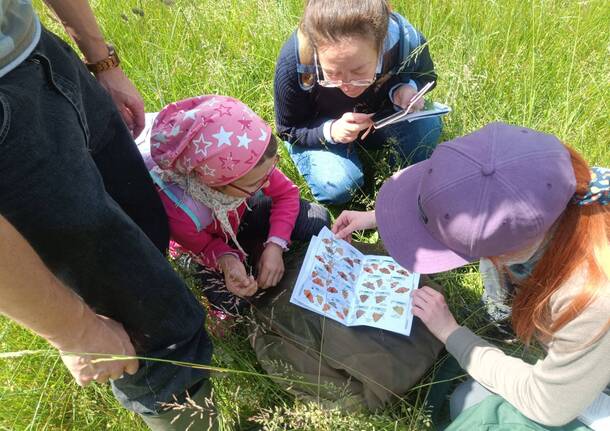 bio blitz angera 