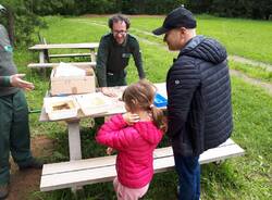 Bio Blitz Parco Pineta