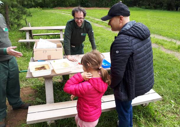 Bio Blitz Parco Pineta