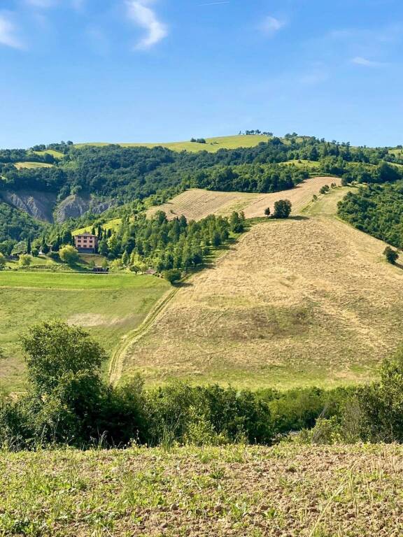 cammino dell'unione levizzano