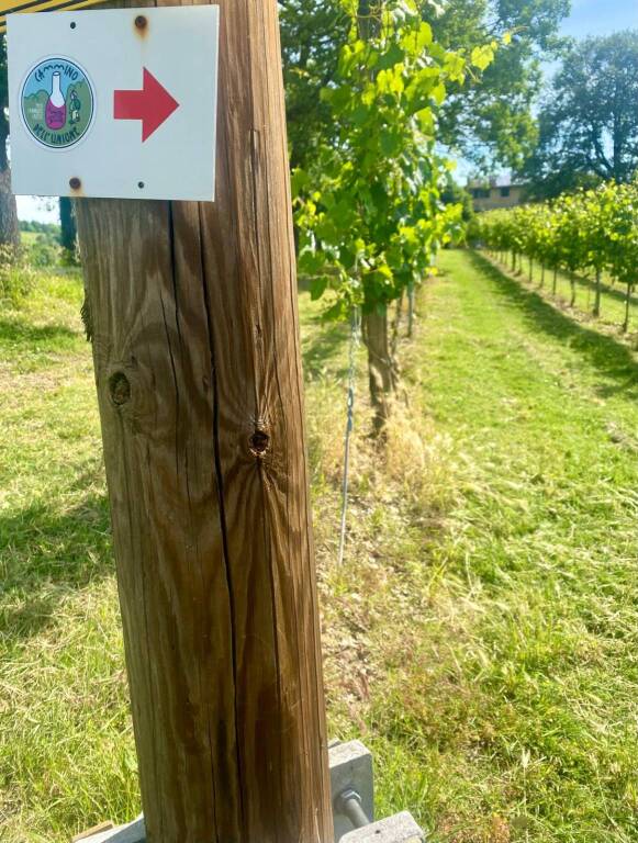 cammino dell'unione levizzano