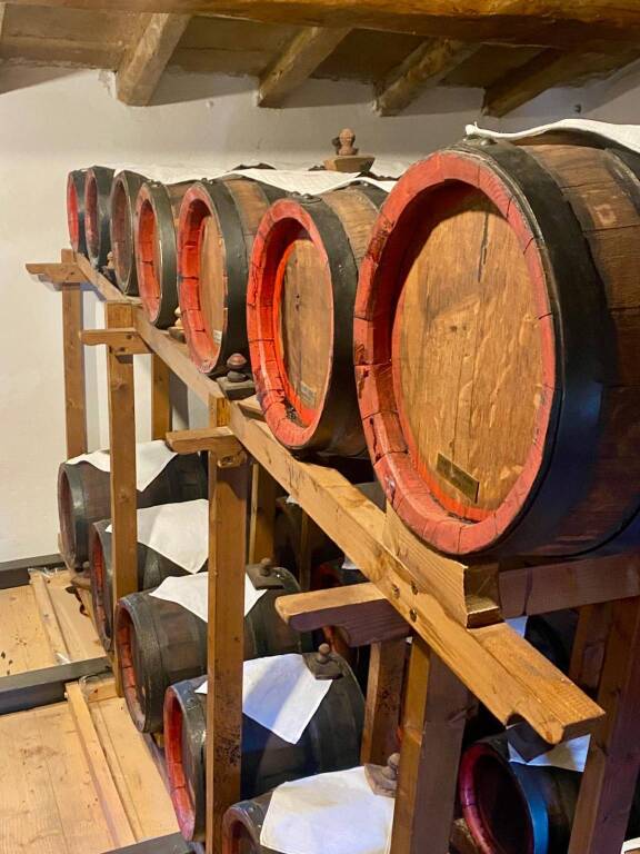 Cammino dell'Unione Vignola