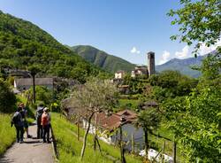 Cammino Lago Maggiore tappa 7