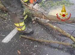 Gli interventi dei vigili del fuoco per le maxi piogge in provincia