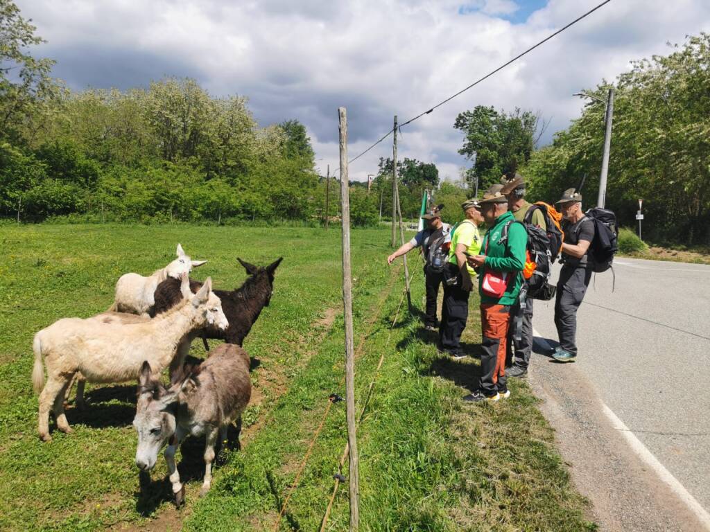 Da Romagnano Sesia a Lessona: la terza tappa della Brinzio - Biella per la grande adunata alpina