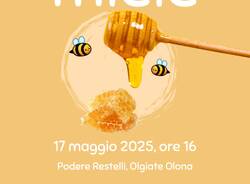 Alla scoperta del miele