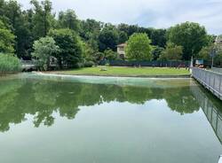 Chiazza tra Bodio e Capolago sul lago di Varese