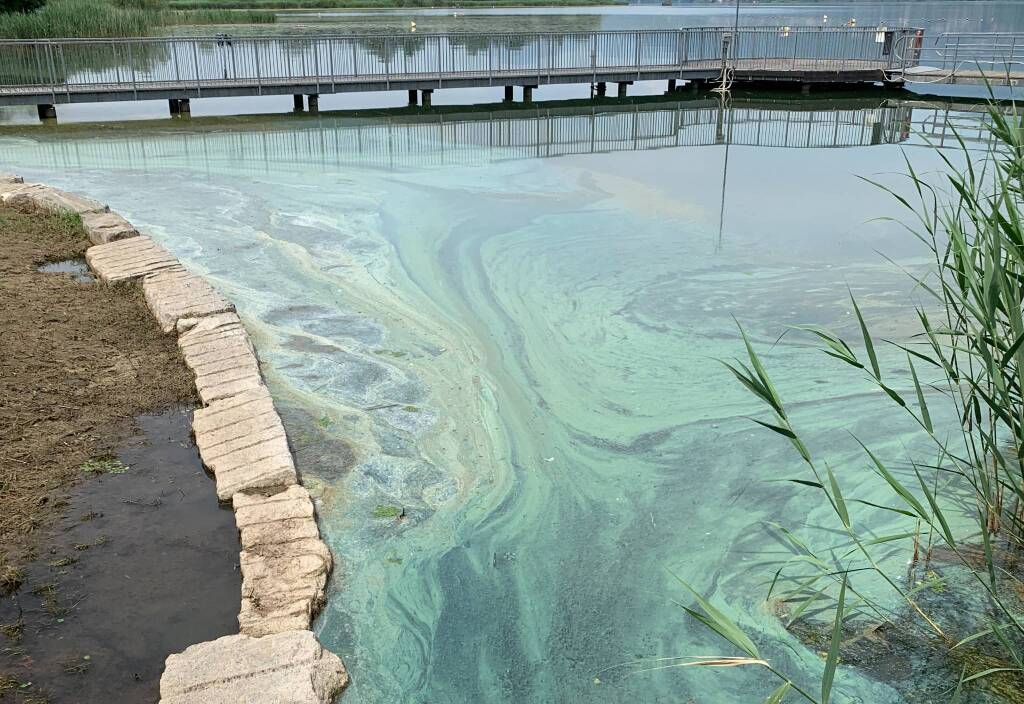 Chiazza tra Bodio e Capolago sul lago di Varese