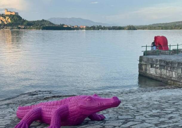 cracking art - arona
