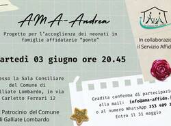 CSV Insubria
