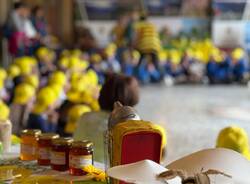 festa scuola coldiretti a varese