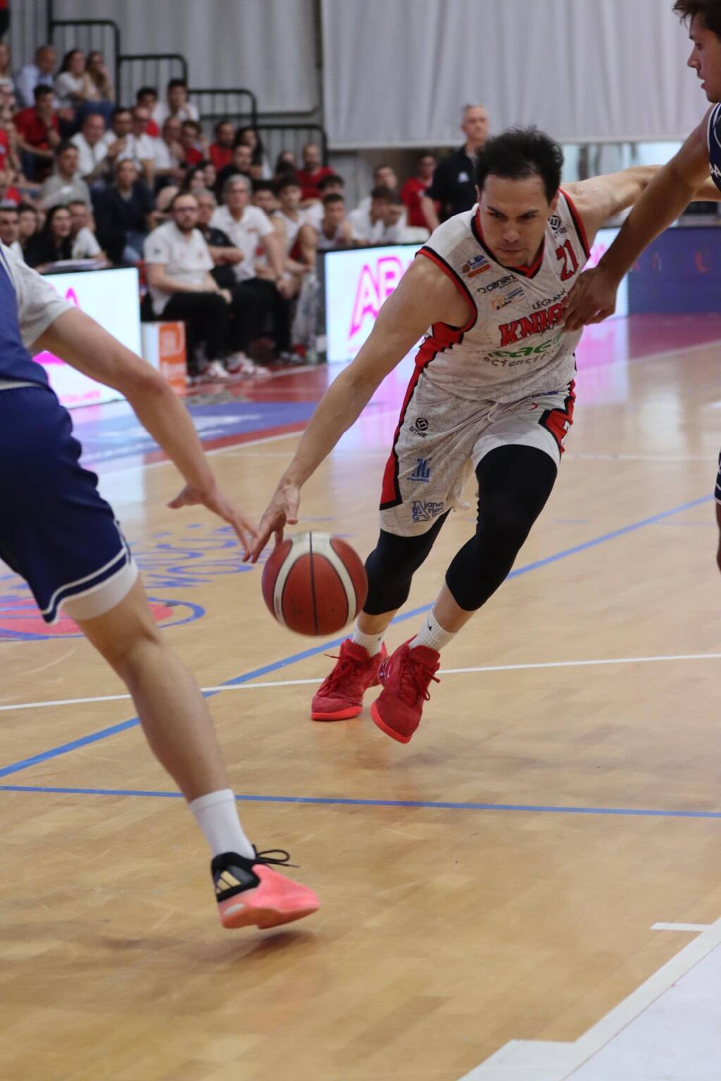 Gara1 tra Legnano Basket e Luiss Roma nelle foto di Viola Dimi