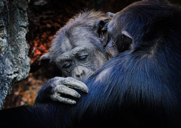 Generico 05 May 2025