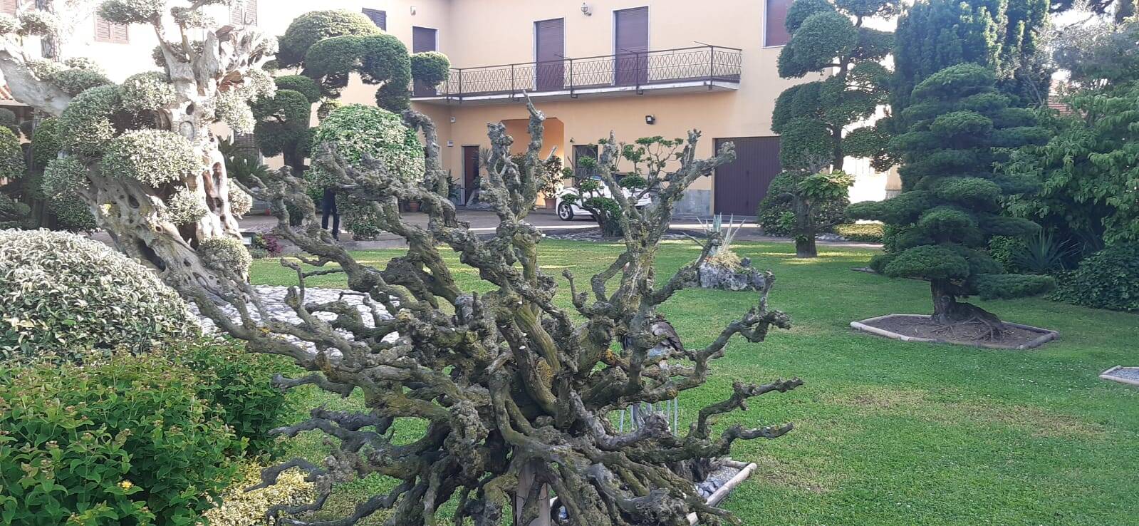 giardini