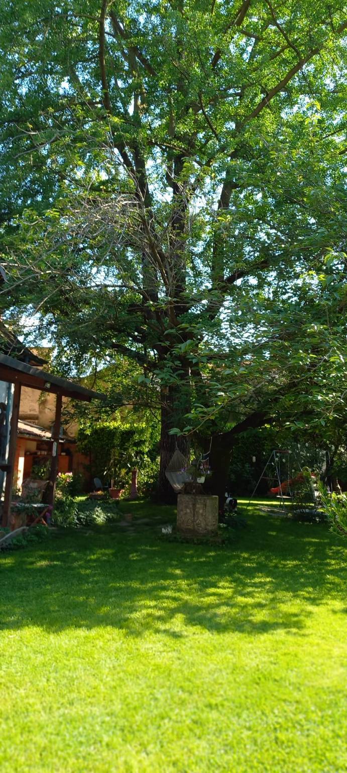 giardini