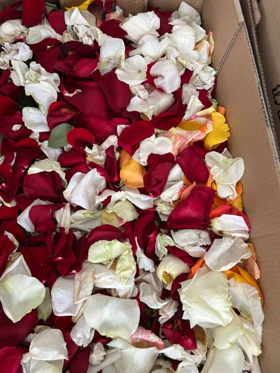 Il maltempo non ferma la prima edizione della Flower Run a Nerviano