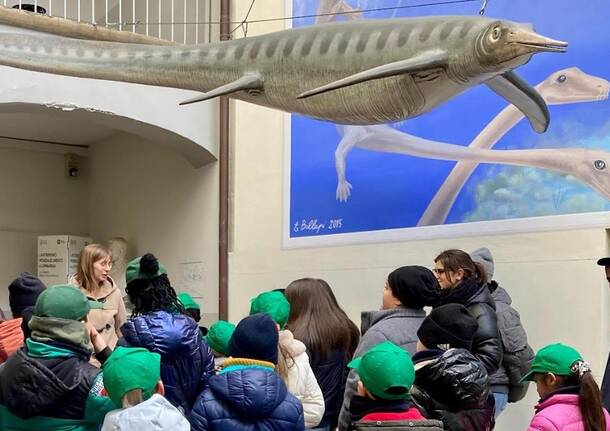 museo fossili