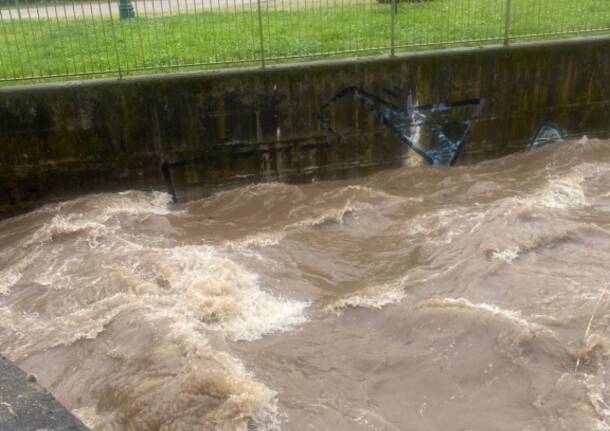 Olona in piena 5 maggio