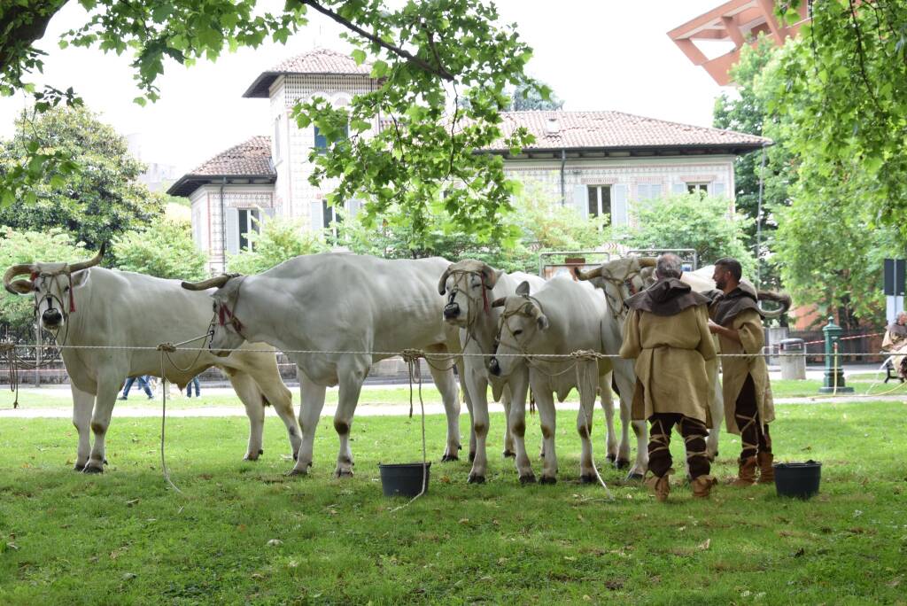 Palio 2025: Le foto della sfilata - di Antonio Emanuele 