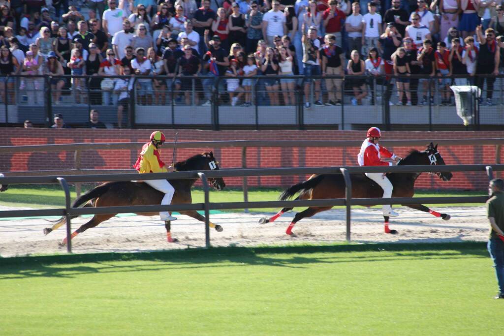 Palio di Legnano: la corsa nelle foto di Alessandro Paolini