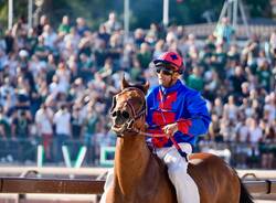 Palio di Legnano: la corsa nelle foto di Daniele Zaffaroni