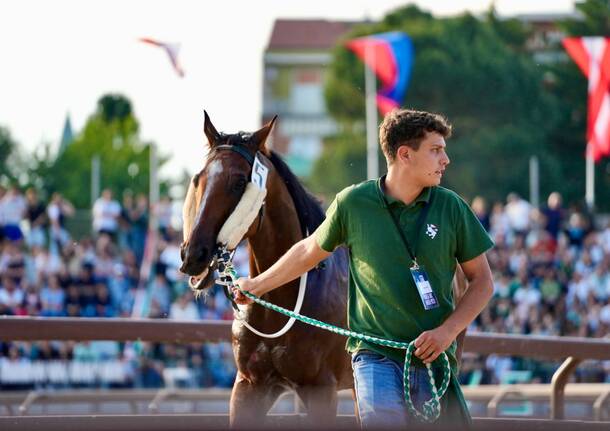 Palio di Legnano: la corsa nelle foto di Daniele Zaffaroni