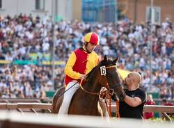 Palio di Legnano: la corsa nelle foto di Daniele Zaffaroni