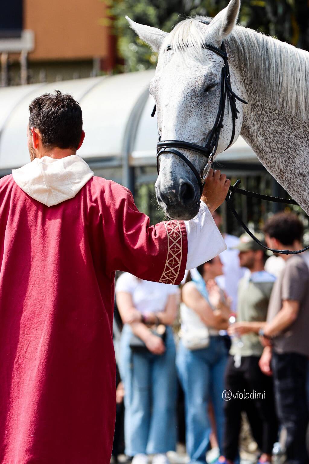 Palio di Legnano - La sfilata storica - Foto di Viola Dimi