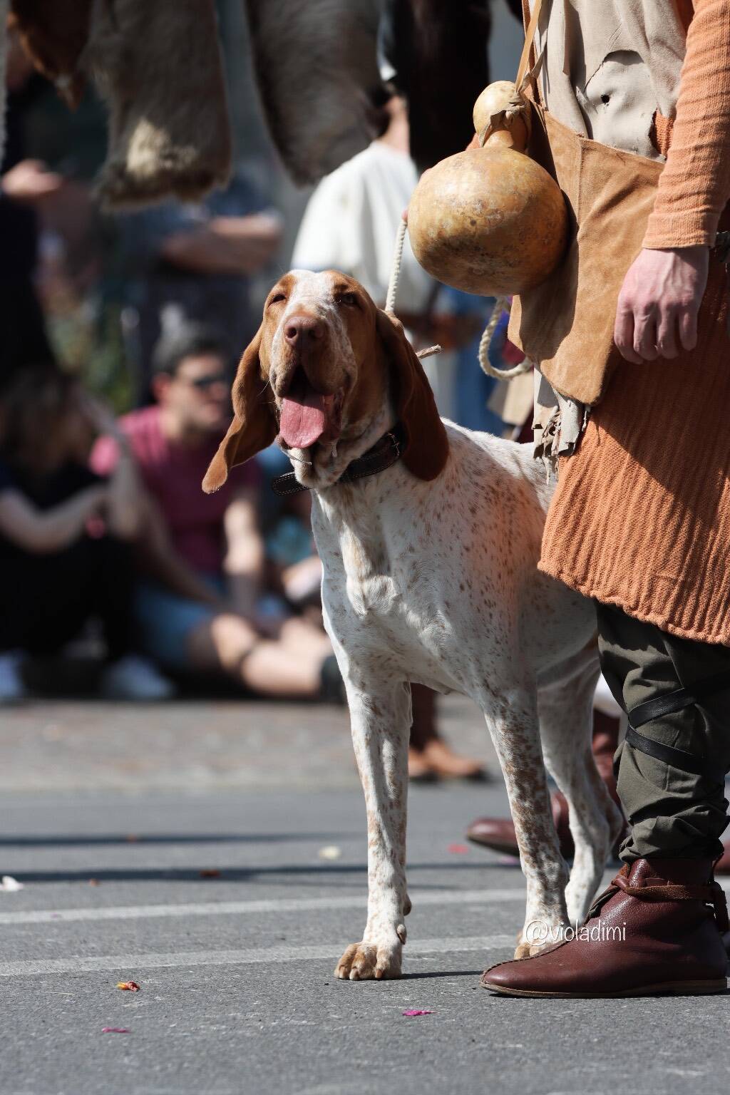 Palio di Legnano - La sfilata storica - Foto di Viola Dimi