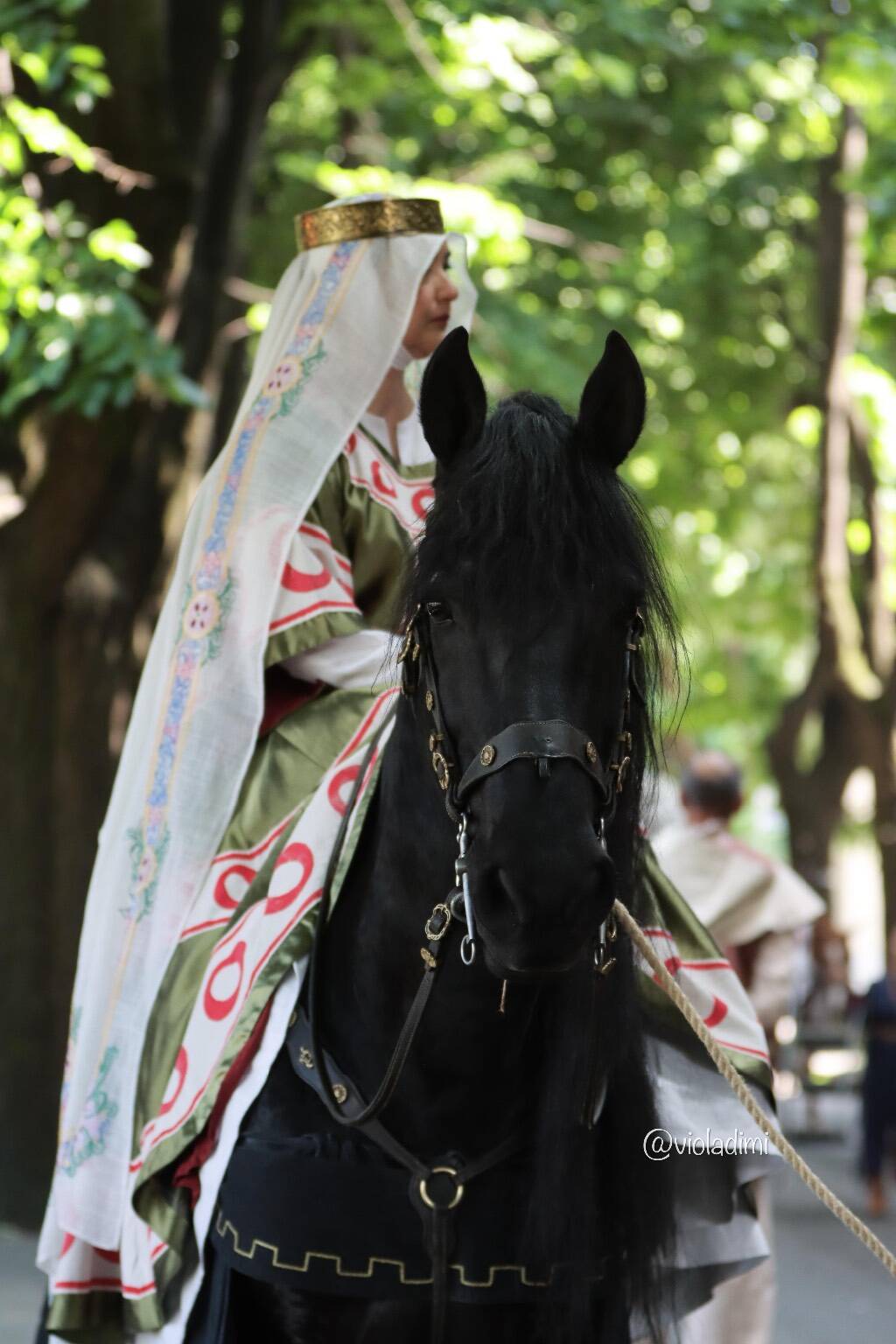 Palio di Legnano - La sfilata storica - Foto di Viola Dimi