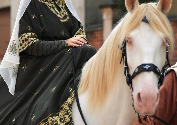 Il Palio di Legnano 2025 nelle foto dei lettori di Legnanonews