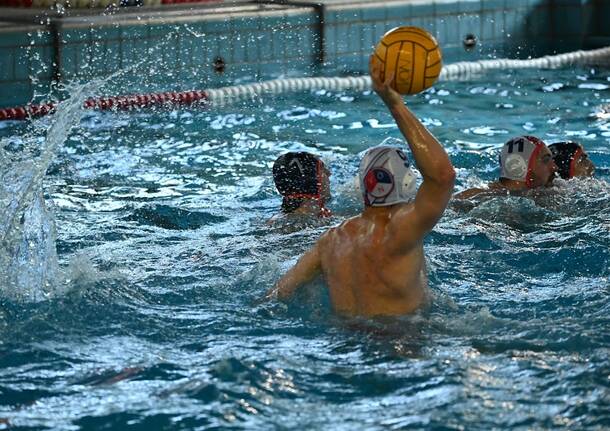 pallanuoto