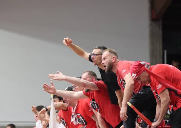 Playoff Gara2: la sfida tra Legnano e Luiss Roma nelle foto di Viola Dimi