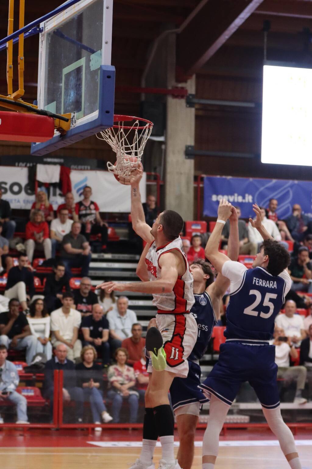Playoff Gara2: la sfida tra Legnano e Luiss Roma nelle foto di Viola Dimi
