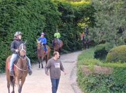 protesta ippodromo varese cavalli giardini estensi
