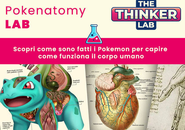 Pokenatomy LAB
